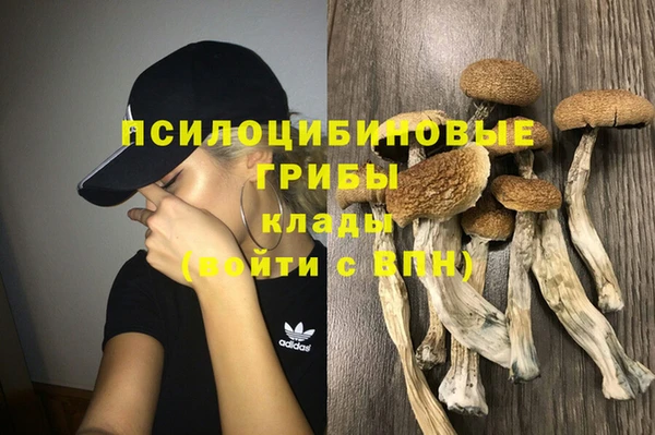 герыч Богородск